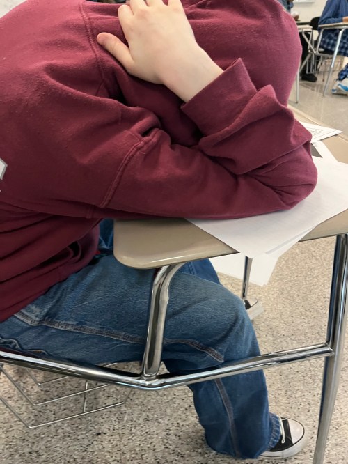 Addressing “Mental Health Days” in School