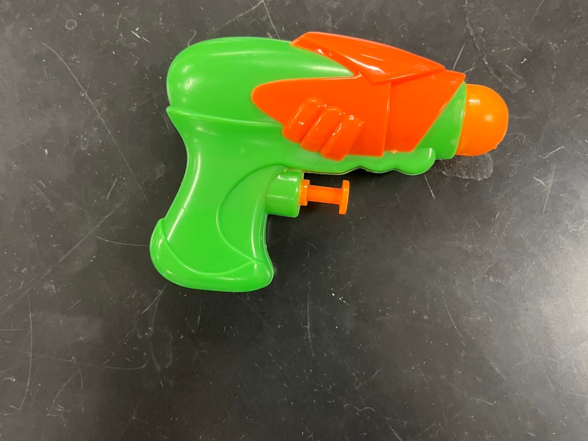 Senior Assassin At Hamden High